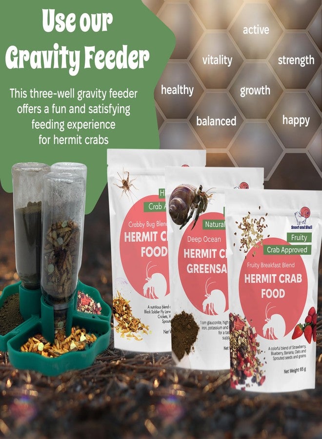 Snout and Shell Hermit Crab Food Bundle - Fruity Breakfast Blend, Crabby Bug Blend & Greensand - Organic, High Protein, Natural Minerals - Complete Nutrition for Healthy Shell Growth & Vitality - Image 2